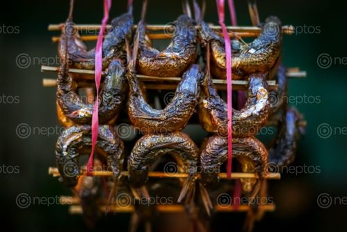 Find  the Image fried,dried,fish,displayed,sale  and other Royalty Free Stock Images of Nepal in the Neptos collection.