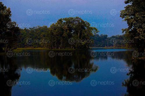 Find  the Image 20k,lake,chitwan,national,park  and other Royalty Free Stock Images of Nepal in the Neptos collection.