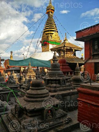 Find  the Image monkey,temple,eyes,kathmandu,valley  and other Royalty Free Stock Images of Nepal in the Neptos collection.