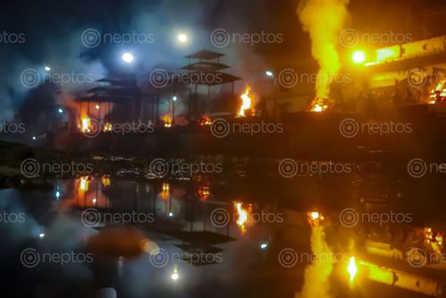 Find  the Image pashupatinath,temple,nepal  and other Royalty Free Stock Images of Nepal in the Neptos collection.