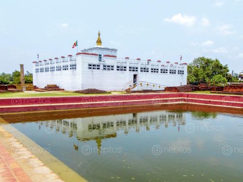 Find  the Image mayadebi,temple,lumbini  and other Royalty Free Stock Images of Nepal in the Neptos collection.