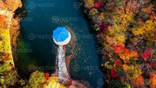 Find  the Image colors,autumn,aerial,view,photo,naejangsan,national,park,south,korea  and other Royalty Free Stock Images of Nepal in the Neptos collection.
