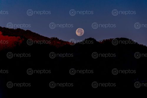 Find  the Image moonrise,manla,city,mugu,full,moon-rise,meets,sunrise  and other Royalty Free Stock Images of Nepal in the Neptos collection.