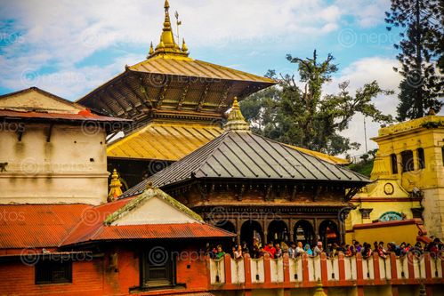 Find  the Image pashupatinath,temple,side,bagmati,river  and other Royalty Free Stock Images of Nepal in the Neptos collection.