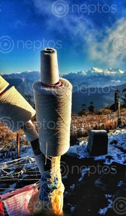 Find  the Image sacred,thread,roll,pathivara,temple,kanchanjungha,range,background  and other Royalty Free Stock Images of Nepal in the Neptos collection.