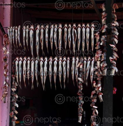Find  the Image waiting,customers,karnalai,bridge  and other Royalty Free Stock Images of Nepal in the Neptos collection.