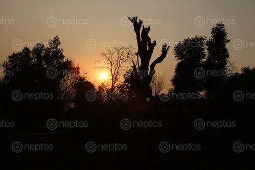 Find  the Image view,sunrise,foggy,morning  and other Royalty Free Stock Images of Nepal in the Neptos collection.