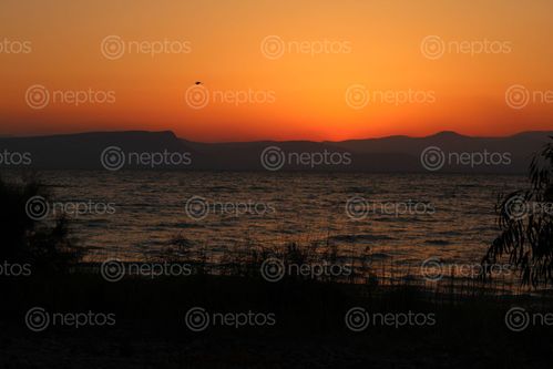 Find  the Image sunset,sea,galilee,israel  and other Royalty Free Stock Images of Nepal in the Neptos collection.