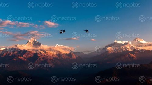 Find  the Image flying,ultralight,aircraft,mount,fishtail,annapurna,range,pokhara,nepal  and other Royalty Free Stock Images of Nepal in the Neptos collection.
