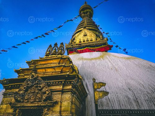 Find  the Image picture,shymbhu,ktm,buddha,park  and other Royalty Free Stock Images of Nepal in the Neptos collection.