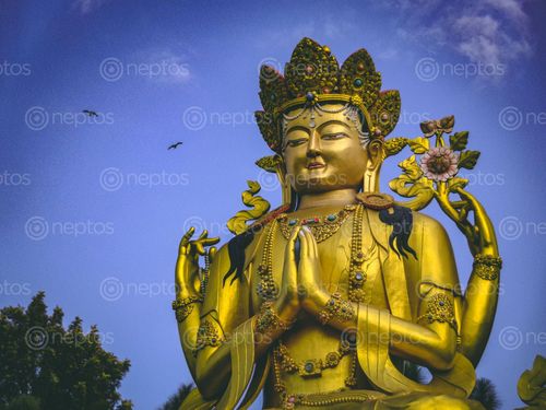 Find  the Image picture,shymbhu,ktm,buddha,park  and other Royalty Free Stock Images of Nepal in the Neptos collection.