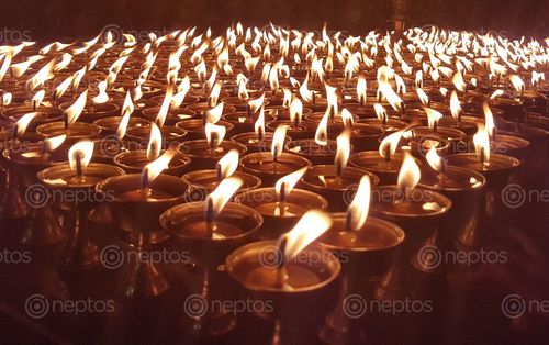 Find  the Image searching,peace,light,candle  and other Royalty Free Stock Images of Nepal in the Neptos collection.