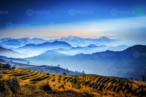 Find  the Image landscape,photothis,photo,wallpaper  and other Royalty Free Stock Images of Nepal in the Neptos collection.
