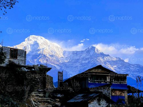 Find  the Image beautiful,place,nepal,called,ghandruk,hours,drive,capital,city,kathmandu,dhaulagiri,range  and other Royalty Free Stock Images of Nepal in the Neptos collection.