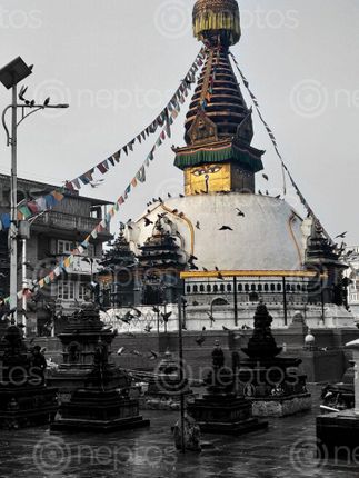 Find  the Image raging,storm,brewing,calm,bliss,full,eyes  and other Royalty Free Stock Images of Nepal in the Neptos collection.