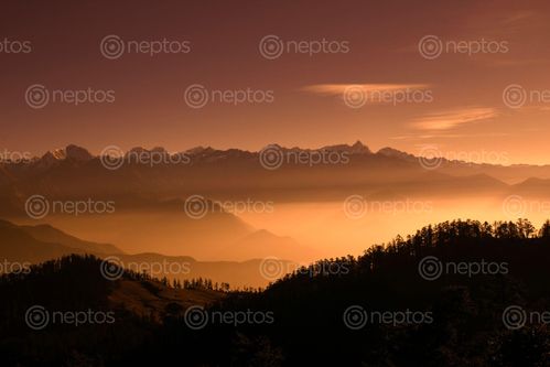 Find  the Image beautiful,view,kalinchowk,nepal  and other Royalty Free Stock Images of Nepal in the Neptos collection.