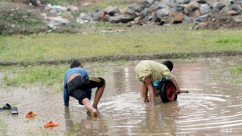 Find  the Image small,boys,playing,dirty,water,paddy,fieldthe,field,building  and other Royalty Free Stock Images of Nepal in the Neptos collection.