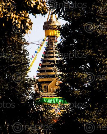 Find  the Image swoyambhu,natha,temple,located,kathmandu,nepalthe,eyes,peace,peeking,trees  and other Royalty Free Stock Images of Nepal in the Neptos collection.