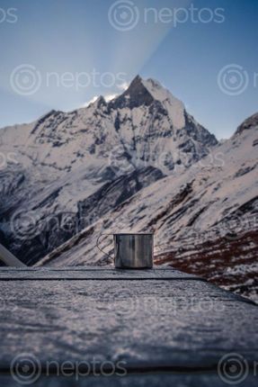 Find  the Image warm,tea,mountains,sunrise  and other Royalty Free Stock Images of Nepal in the Neptos collection.