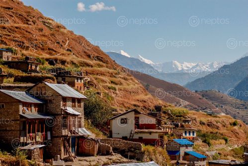Find  the Image village,jumla  and other Royalty Free Stock Images of Nepal in the Neptos collection.