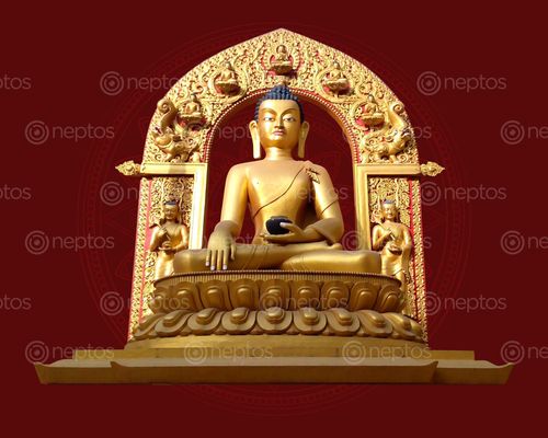 Find  the Image golden,buddha,statue,lalitpur,nepal,build,year,ago,monastery,area,visit,time,place  and other Royalty Free Stock Images of Nepal in the Neptos collection.