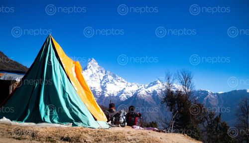 Find  the Image friend,sitting,tent,enjoying,beauty,nature  and other Royalty Free Stock Images of Nepal in the Neptos collection.