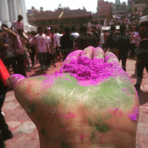 Find  the Image holi,festival,color  and other Royalty Free Stock Images of Nepal in the Neptos collection.