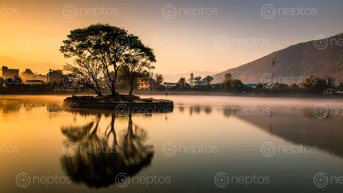 Find  the Image reflection,tree,photo,taudah,kathmandu,nepal  and other Royalty Free Stock Images of Nepal in the Neptos collection.