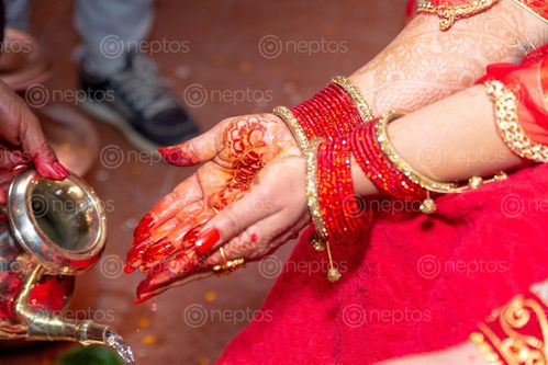 Find  the Image hindu,marriage,rituals  and other Royalty Free Stock Images of Nepal in the Neptos collection.