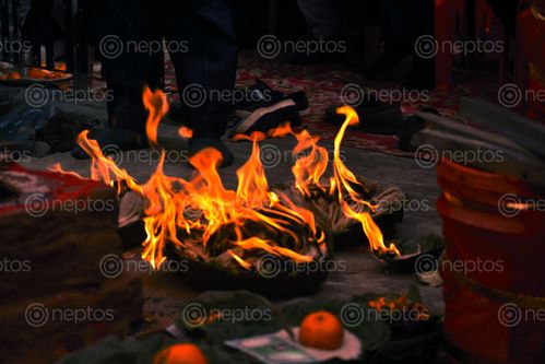 Find  the Image fire,lit,festival  and other Royalty Free Stock Images of Nepal in the Neptos collection.