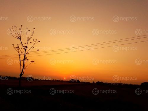 Find  the Image evening,sun,set,chitwa,nearby,sauraha  and other Royalty Free Stock Images of Nepal in the Neptos collection.