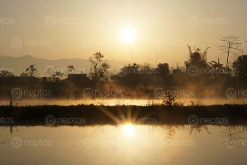 Find  the Image beautiful,golden,sunset,lake,tree,reflections  and other Royalty Free Stock Images of Nepal in the Neptos collection.