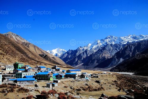 Find  the Image kenzin,valley,destination,point,langtang,trekking,route,nepal  and other Royalty Free Stock Images of Nepal in the Neptos collection.