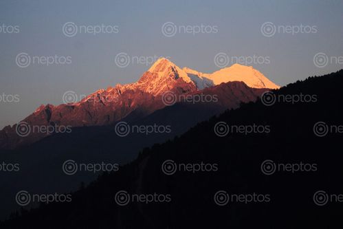Find  the Image langtang,mountain,sunset,nepal  and other Royalty Free Stock Images of Nepal in the Neptos collection.