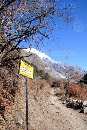 Find  the Image place,langtang,national,park,scene,mountain,rasuwa,nepal  and other Royalty Free Stock Images of Nepal in the Neptos collection.