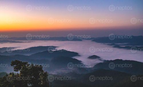 Find  the Image scene,terai,sunrise,nepal  and other Royalty Free Stock Images of Nepal in the Neptos collection.