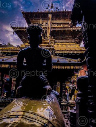 Find  the Image golden,temple,patan  and other Royalty Free Stock Images of Nepal in the Neptos collection.