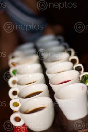 Find  the Image luwak,coffee,tasting,bali,indonesia  and other Royalty Free Stock Images of Nepal in the Neptos collection.