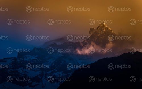 Find  the Image mount,fishtail,cloud,photo,siding,machhapuchre,pokhara,nepal  and other Royalty Free Stock Images of Nepal in the Neptos collection.