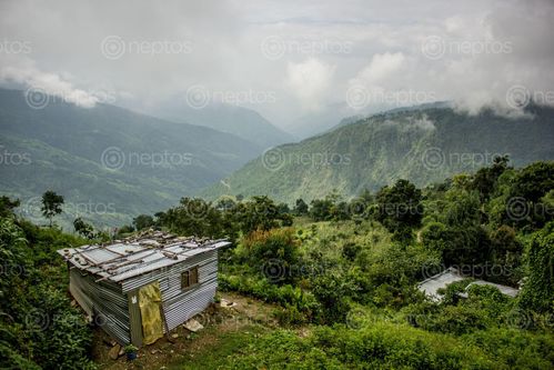 Find  the Image tin,house,lap,nature  and other Royalty Free Stock Images of Nepal in the Neptos collection.