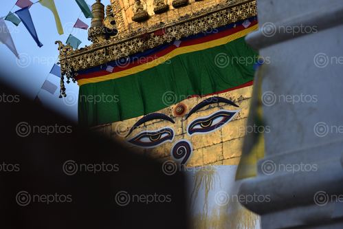 Find  the Image monkey,temple,swayambhunath,aka,normal,day,kathmadnu,nepal  and other Royalty Free Stock Images of Nepal in the Neptos collection.