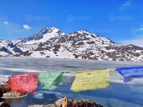 Find  the Image gosaikunda,lake,picture,prayer,flag,edge,breathe,taking,views,snow,covered,hills  and other Royalty Free Stock Images of Nepal in the Neptos collection.