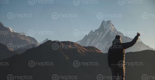 Find  the Image young,man,showing,sign,front,mt,machhapuchhre  and other Royalty Free Stock Images of Nepal in the Neptos collection.
