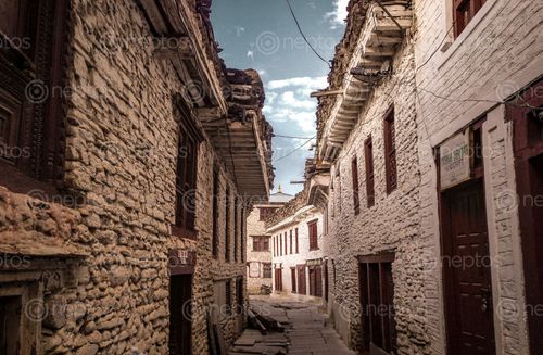 Find  the Image streets,marpha,mustang  and other Royalty Free Stock Images of Nepal in the Neptos collection.