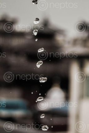 Find  the Image rain,drops,falling,amazing,drop  and other Royalty Free Stock Images of Nepal in the Neptos collection.
