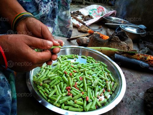 Find  the Image world,pizza,burger,sophisticated,restaurants,village,life,wheat,bread,organic,cowpea,roasted,maize,adds,real,taste  and other Royalty Free Stock Images of Nepal in the Neptos collection.
