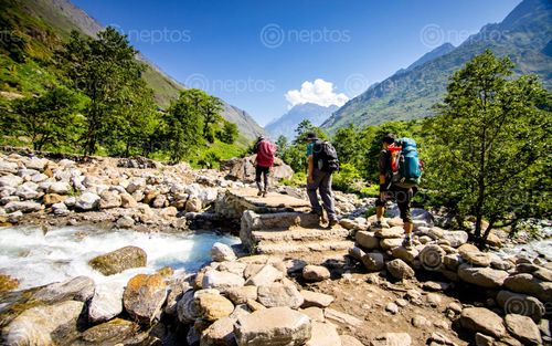 Find  the Image adventure,trekking,trail,manaslu,gorkha,nepal  and other Royalty Free Stock Images of Nepal in the Neptos collection.