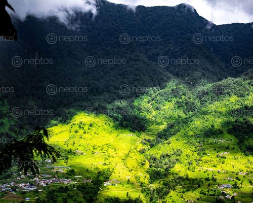 Find  the Image sunlight,peeking,valley,clicked,ghandruk  and other Royalty Free Stock Images of Nepal in the Neptos collection.