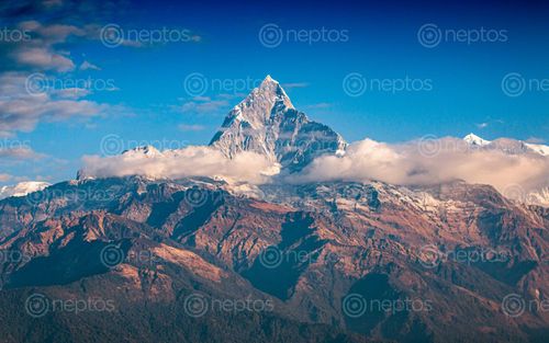 Find  the Image beautiful,mount,machhapuchrefishtail,range,pokhara,valley,nepal  and other Royalty Free Stock Images of Nepal in the Neptos collection.