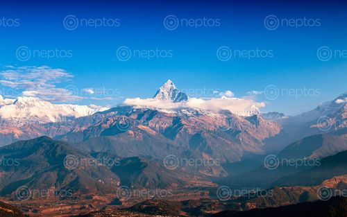 Find  the Image beautiful,mount,machhapuchrefishtail,range,pokhara,valley,nepal  and other Royalty Free Stock Images of Nepal in the Neptos collection.